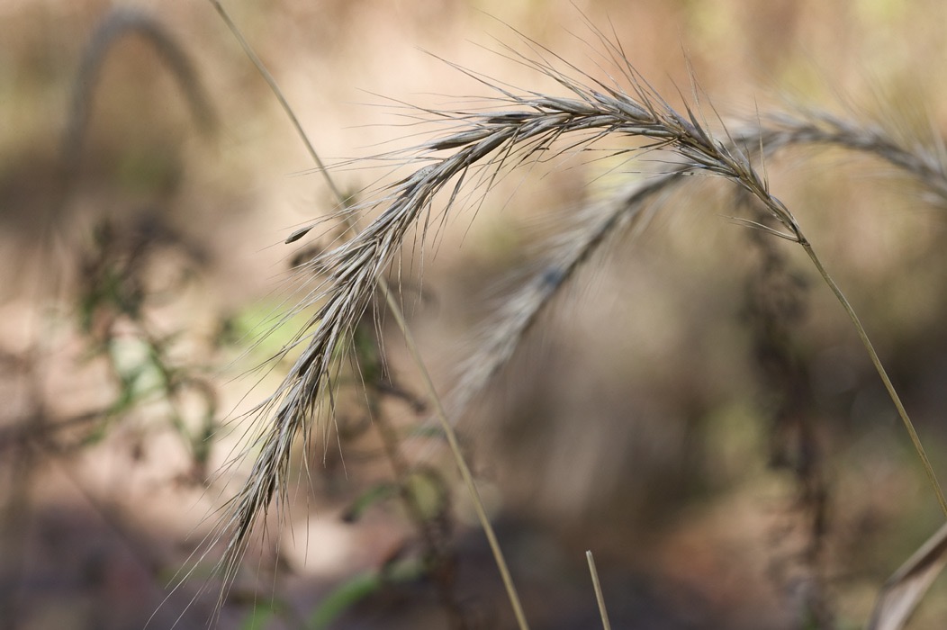 200710305570, ©Tim Medley