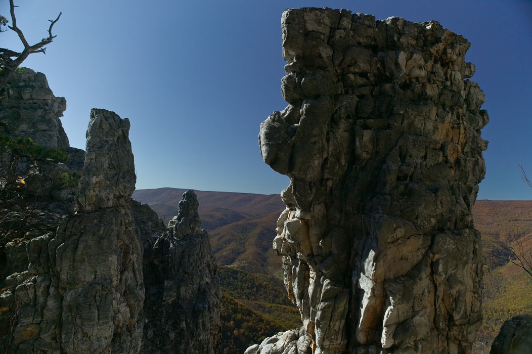 200710315592, ©Tim Medley