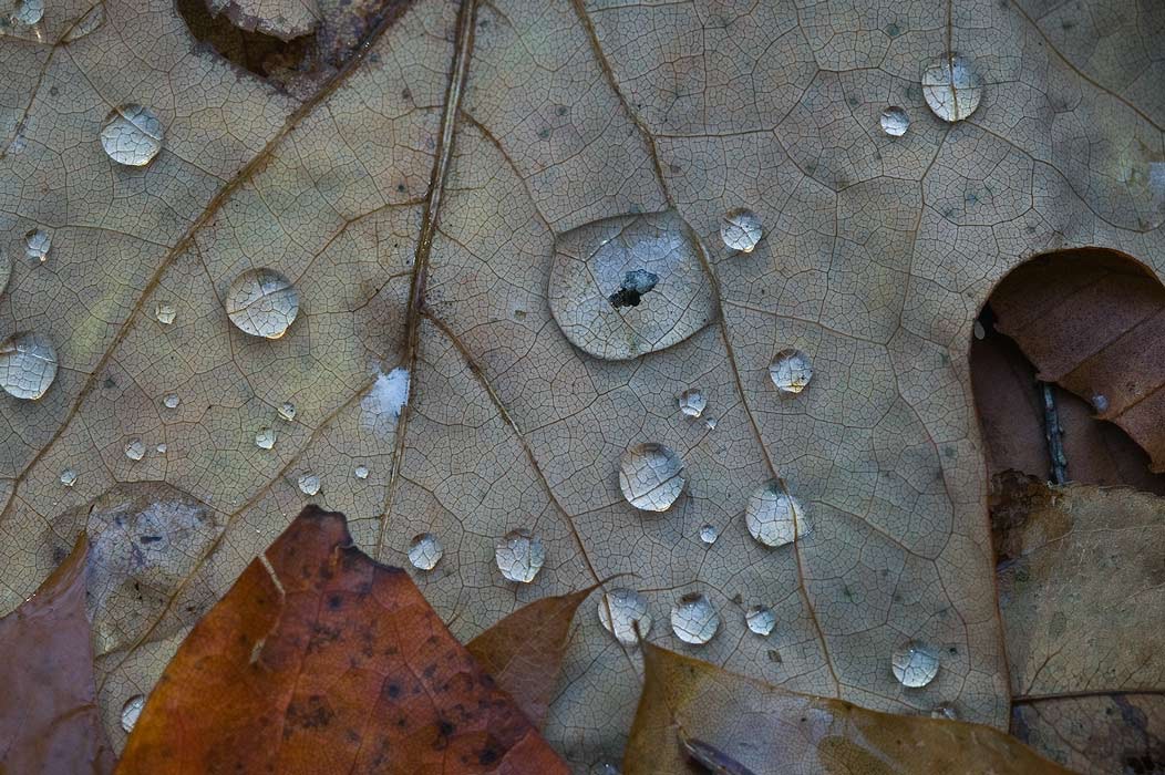 200711025686, ©Tim Medley