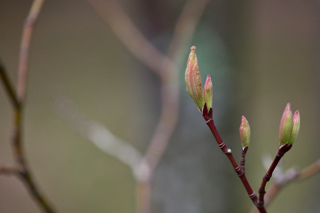 200905076654, ©Tim Medley