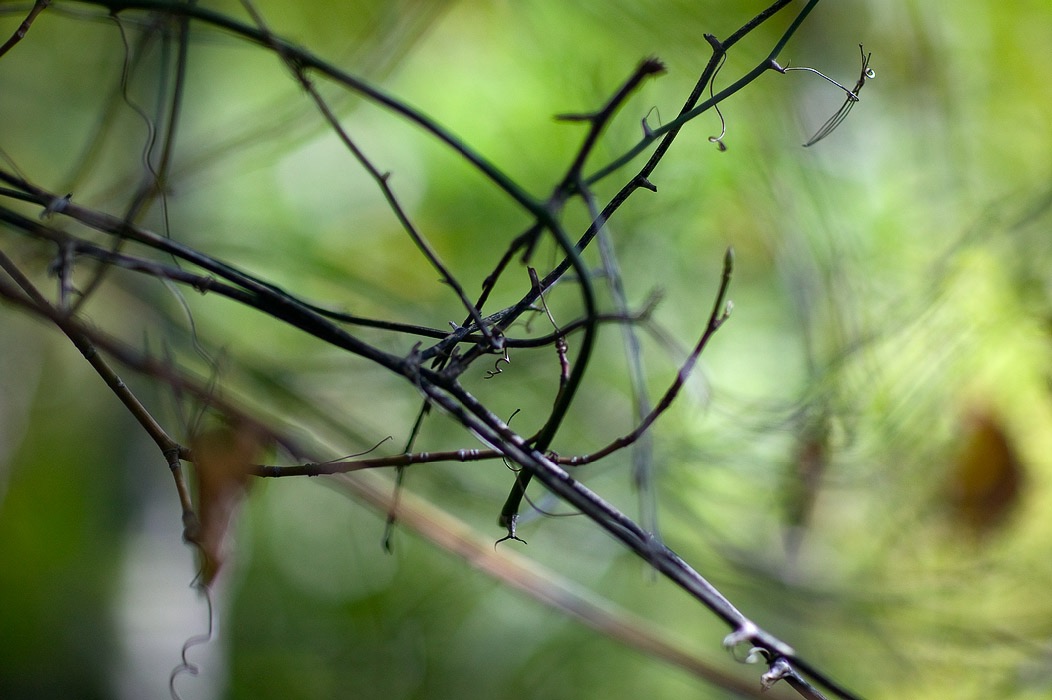 200910057012, ©Tim Medley