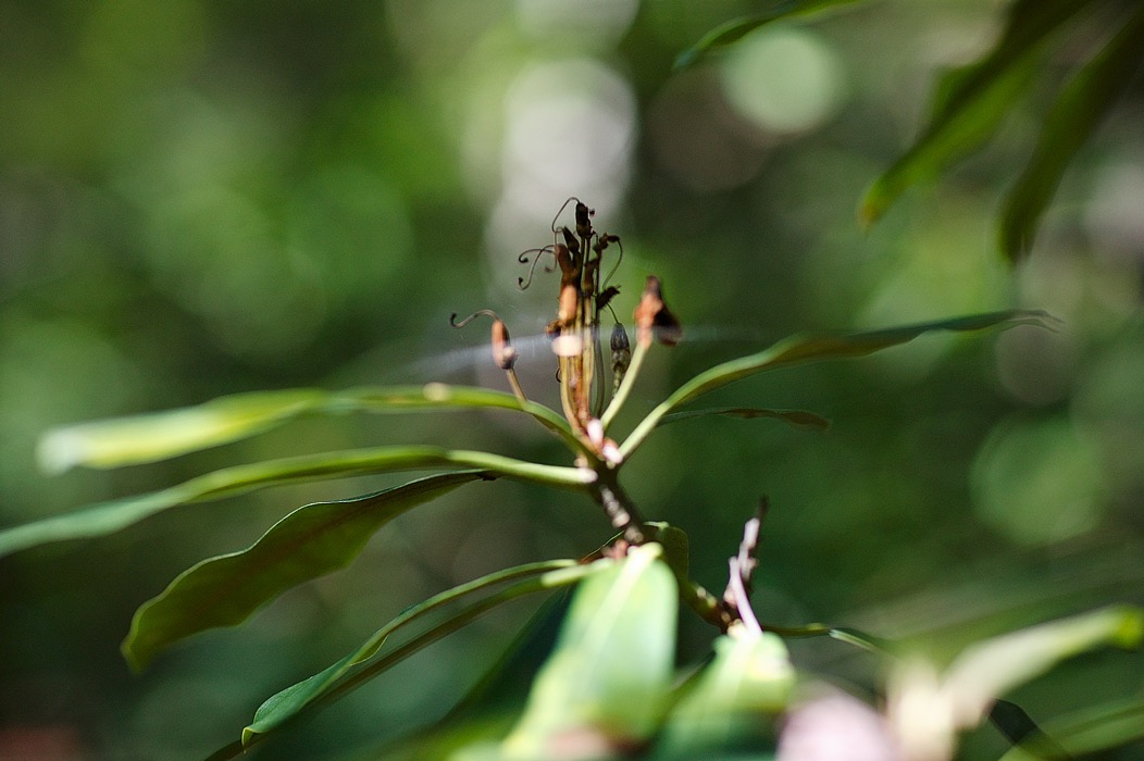 200910057053, ©Tim Medley