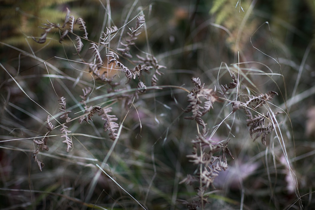 200910087157, ©Tim Medley