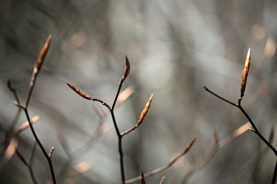 201005017290, ©Tim Medley