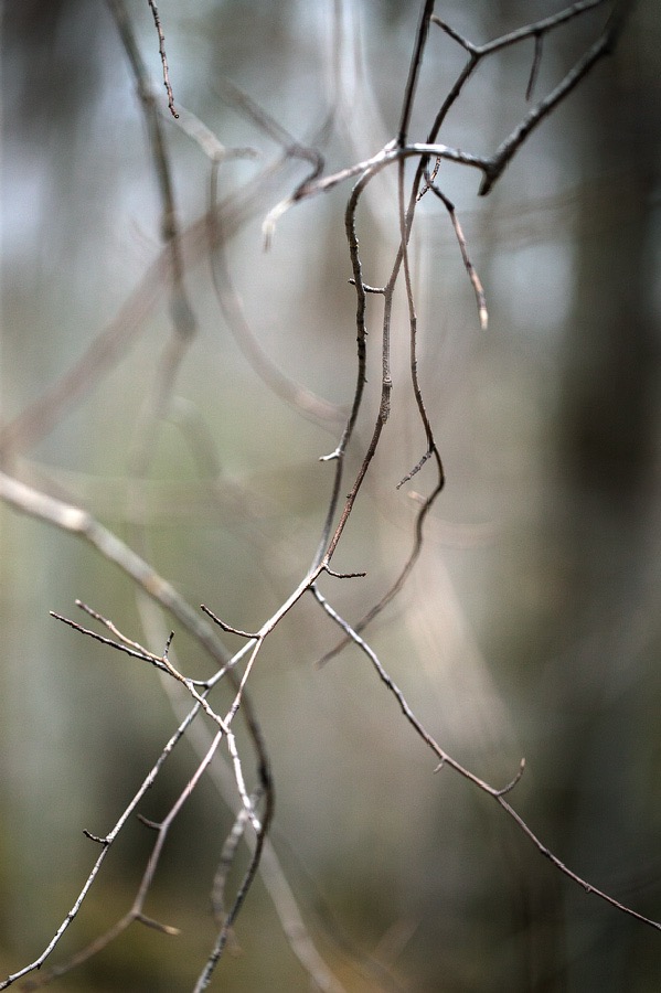 201005017302, ©Tim Medley