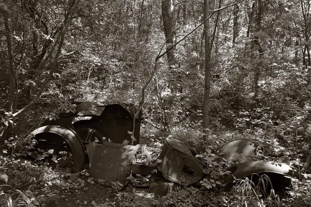 20160609Q0283 ©Tim Medley - Shenandoah NP, VA