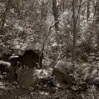 20160609Q0283.jpg