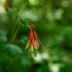 20160613Q0309.jpg