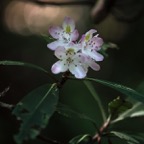 201607121DX3645.jpg