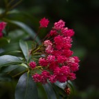 201607121DX3742.jpg