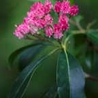 201607121DX3744.jpg