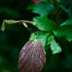 201607131DX3900.jpg