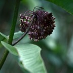 201608021DX4004.jpg