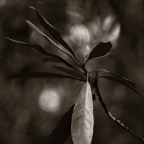 201609131DX4266.jpg