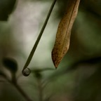 201609131DX4268.jpg