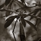 201609131DX4306.jpg