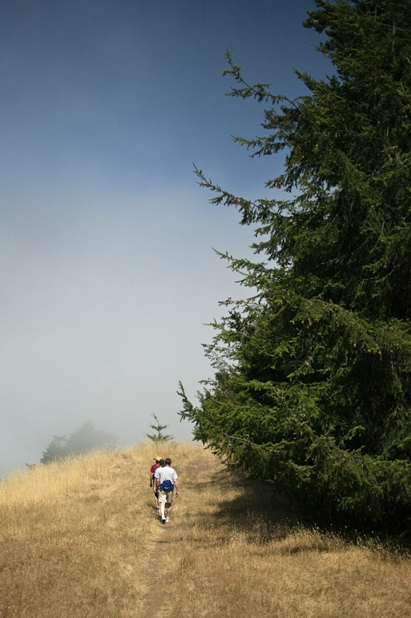 200907156733, ©Tim Medley