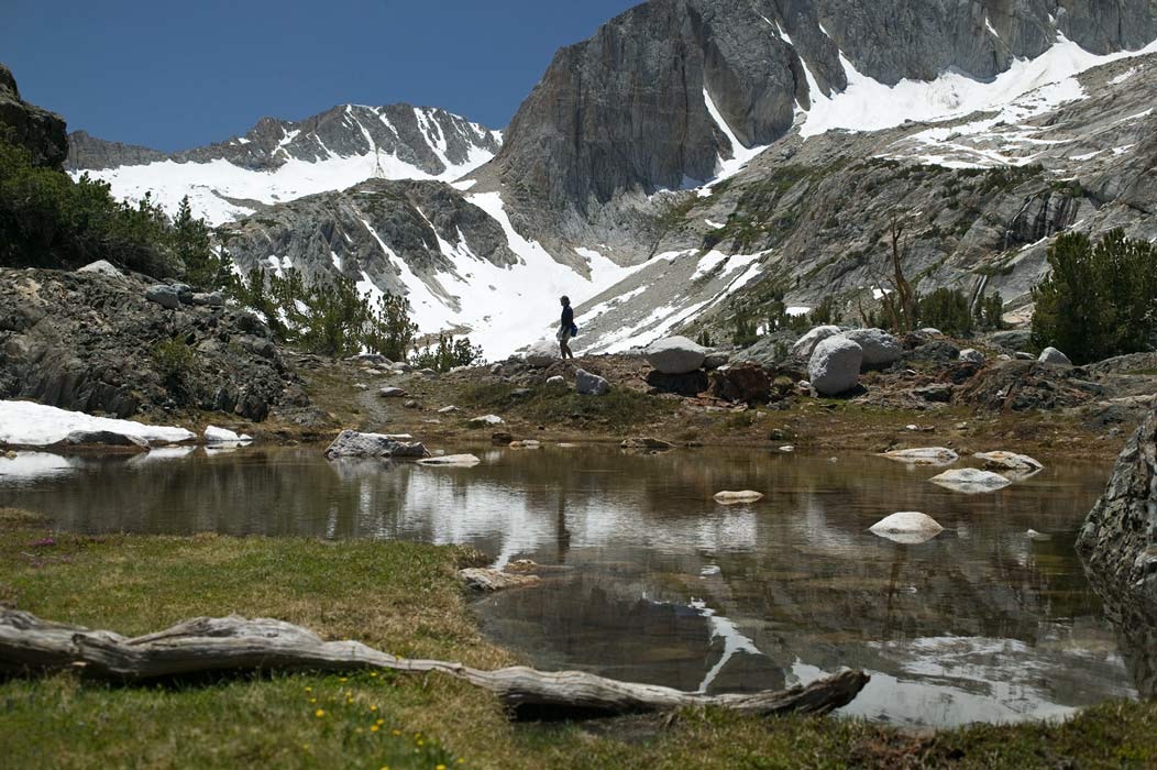 200907166777, &copy;Tim Medley