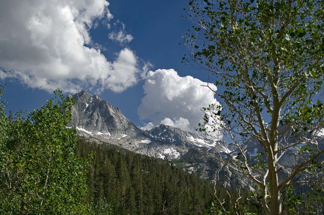 200907186854, &copy;Tim Medley