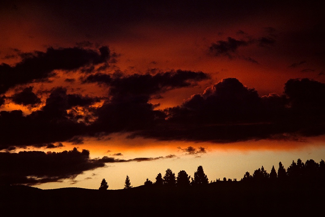 198707334 ©Tim Medley - The Northwest
