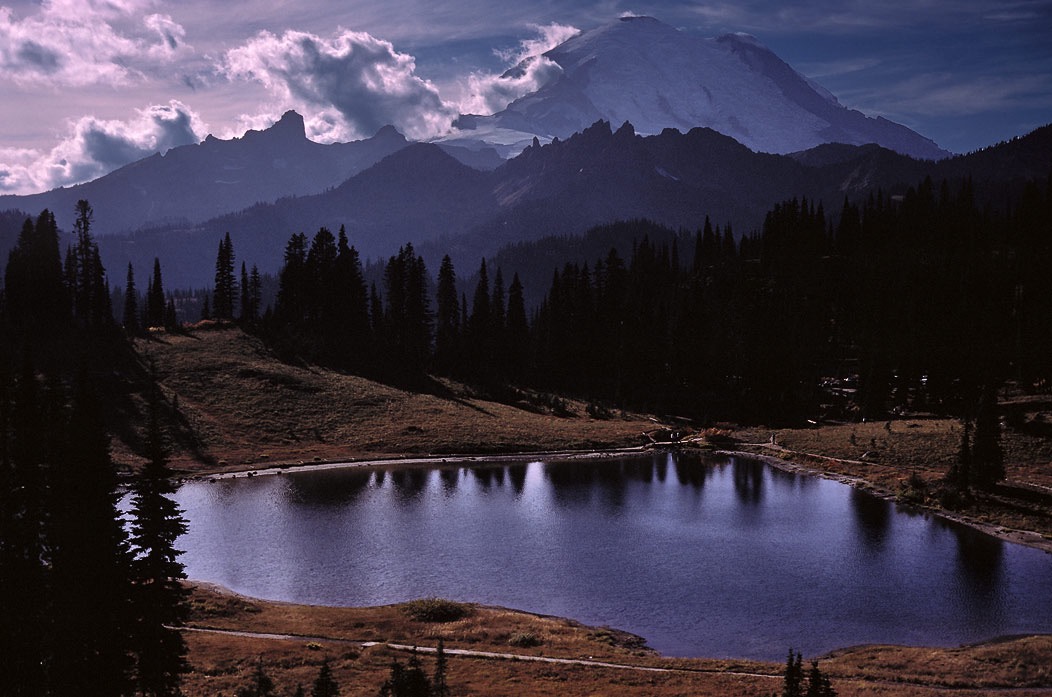 198710405 ©Tim  Medley - Tipsoo Lake, Mt. Rainier National Park, WA