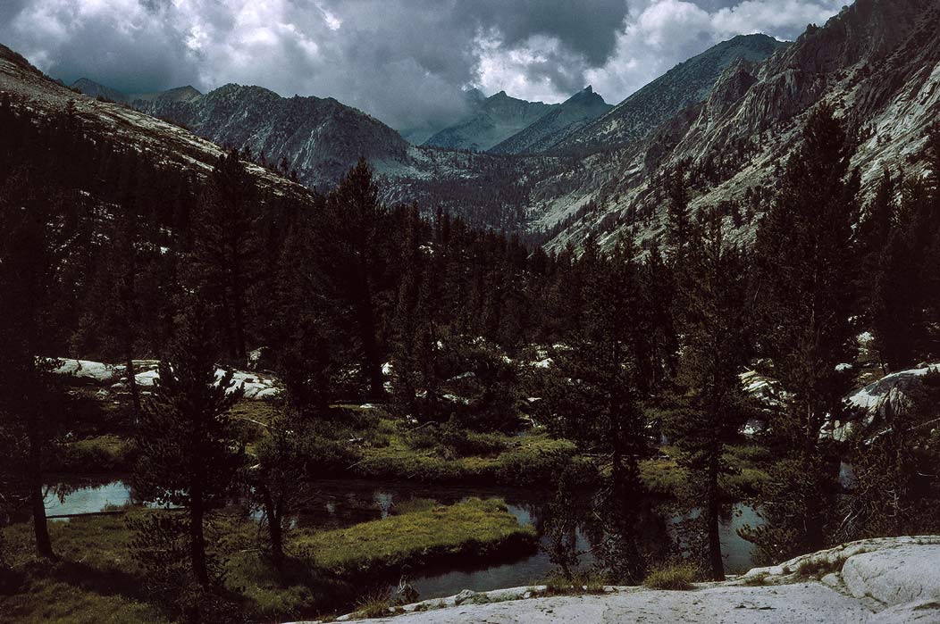 199200233 ©Tim Medley - Marmot, Kearsarge Pass Trail, Kings Canyon National Park, CA