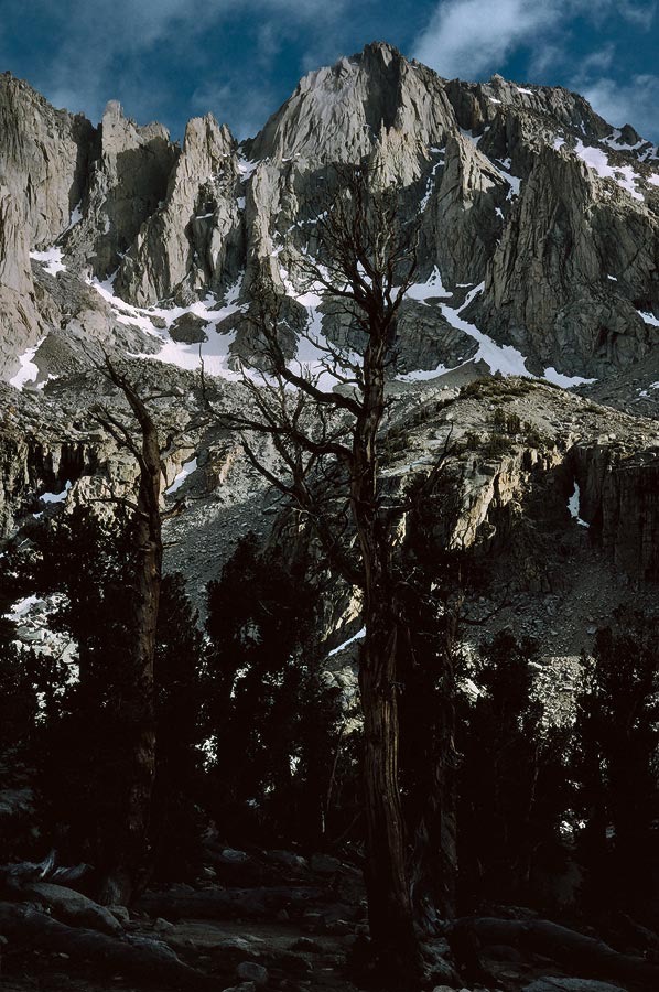 199200233 ©Tim Medley - Marmot, Kearsarge Pass Trail, Kings Canyon National Park, CA