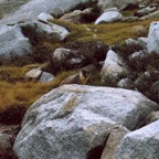 199200233.jpg