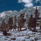 1993CA0421.jpg
