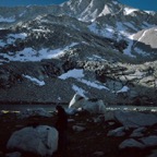 1993CA0436.jpg