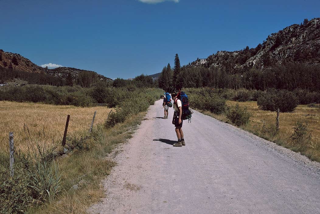 1993CA0725 ©Tim Medley - North Lake Road, Inyo National Forest, CA