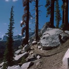 1994CA0103.jpg
