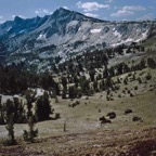 1994CA0107.jpg
