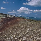 1994CA0108.jpg