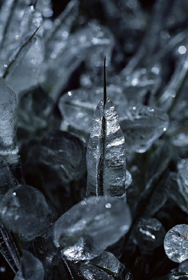 198706804 ©Tim Medley - Medley Lake, John Muir Wilderness, CA