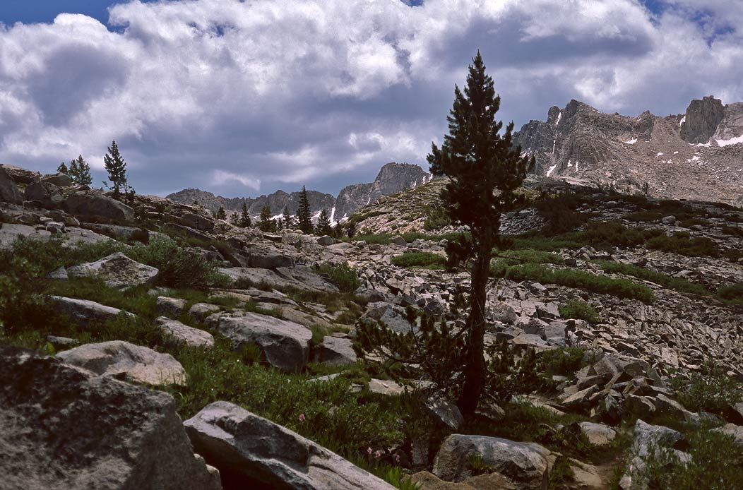 1991CA01650 ©Tim Medley - Dusy Basin, Bishop Pass TR, Kings Canyon NP, CA