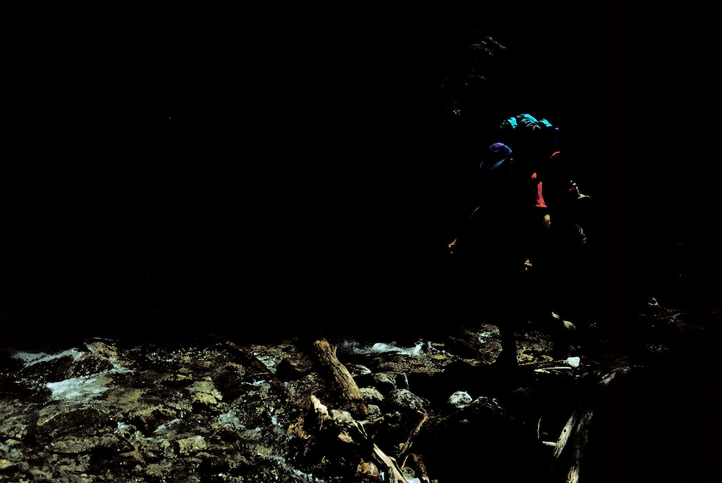 1993WA0104 &copy;Tim Medley - Buck Creek TR, Wenatchee NF, WA