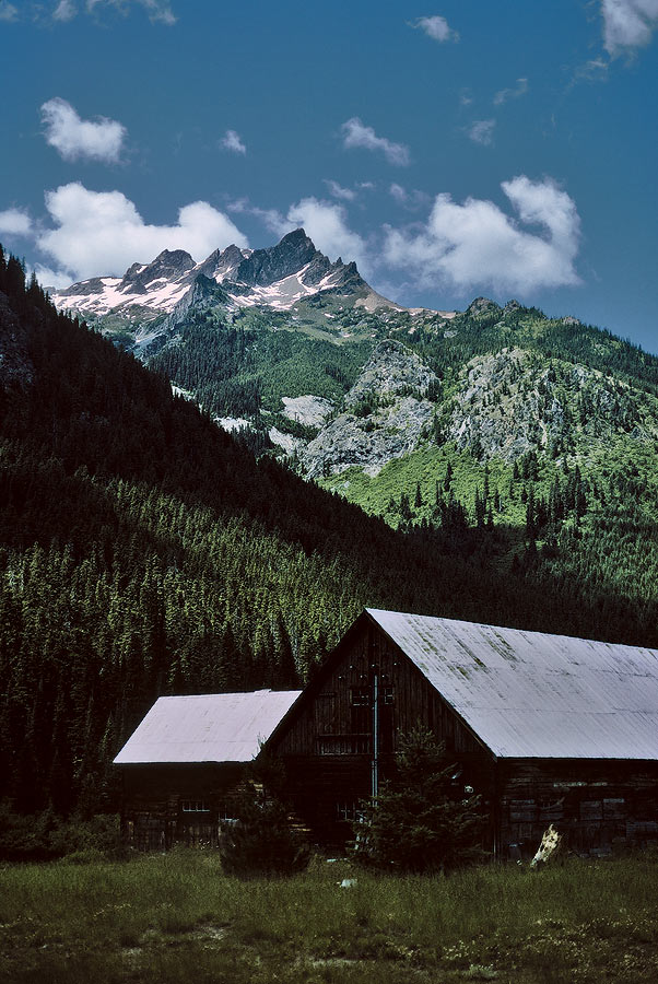 1993WA0105 &copy;Tim Medley - Buck Creek TR, Trinity, Wenatchee NF, WA