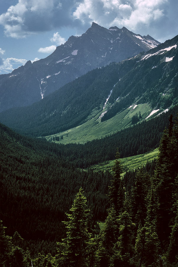 1993WA0133 &copy;Tim Medley - Buck Creek TR, Buck MTN, Glacier Peak WA, WA