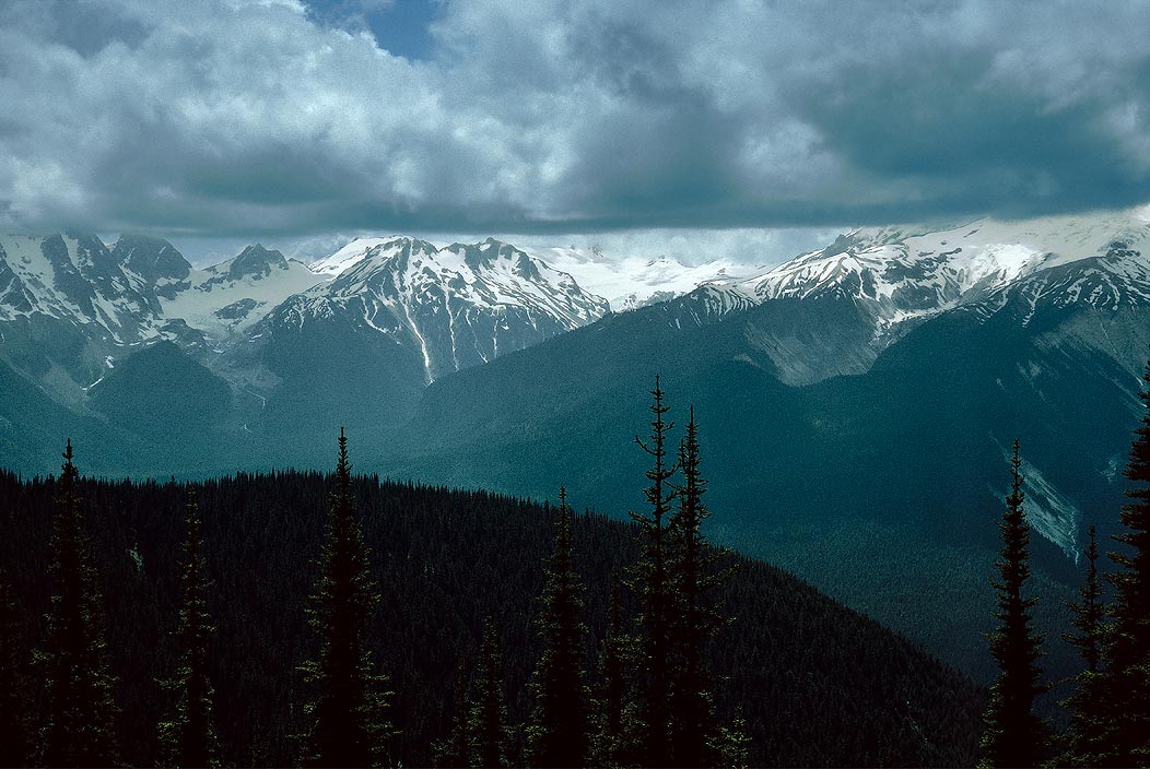 1993WA0207 &copy;Tim Medley - Buck Creek Pass TR, Suiattle R, Honeycomb GL, Suiattle GL, Glacier Peak WA, WA