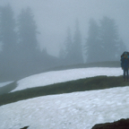 1993WA0302.jpg