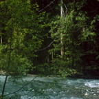 1993WA0401.jpg