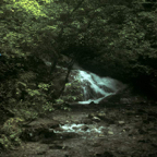 1993WA0405.jpg