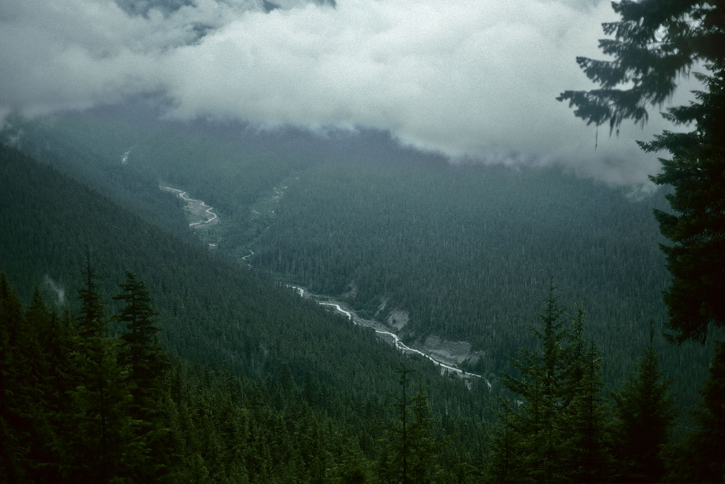 1993WA0508 &copy;Tim Medley - Suiattle River, Miners Ridge Trail, Glacier Peak Wilderness, WA