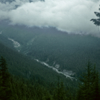 1993WA0508.jpg