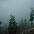 1993WA0516.jpg
