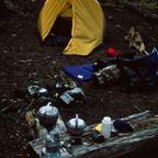 1993WA0517.jpg