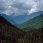 1993WA0529.jpg