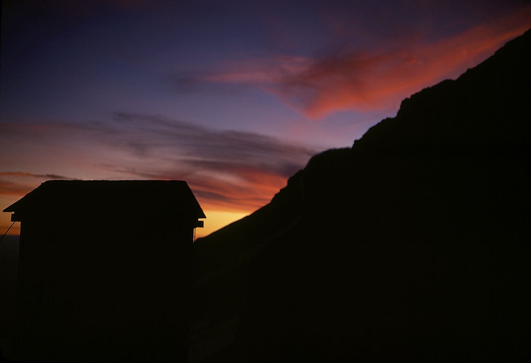 197402304, ©Tim Medley