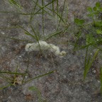200307161454
